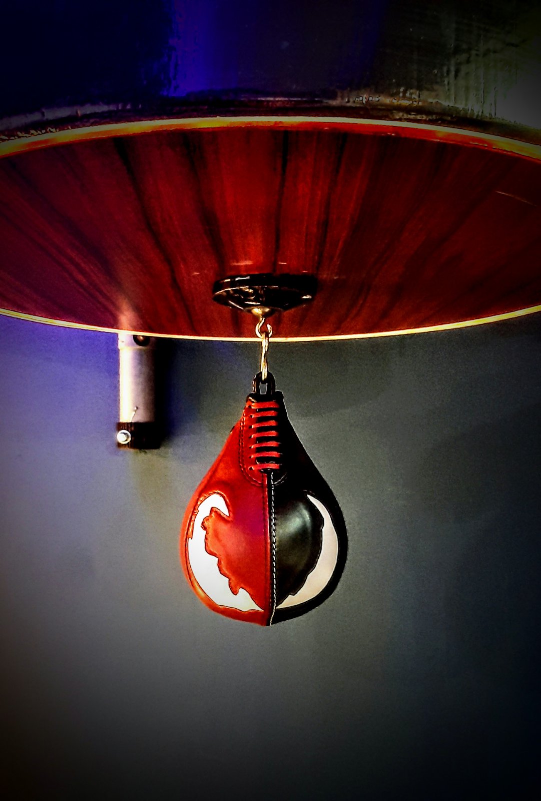 Roni Boxing Speed Bag