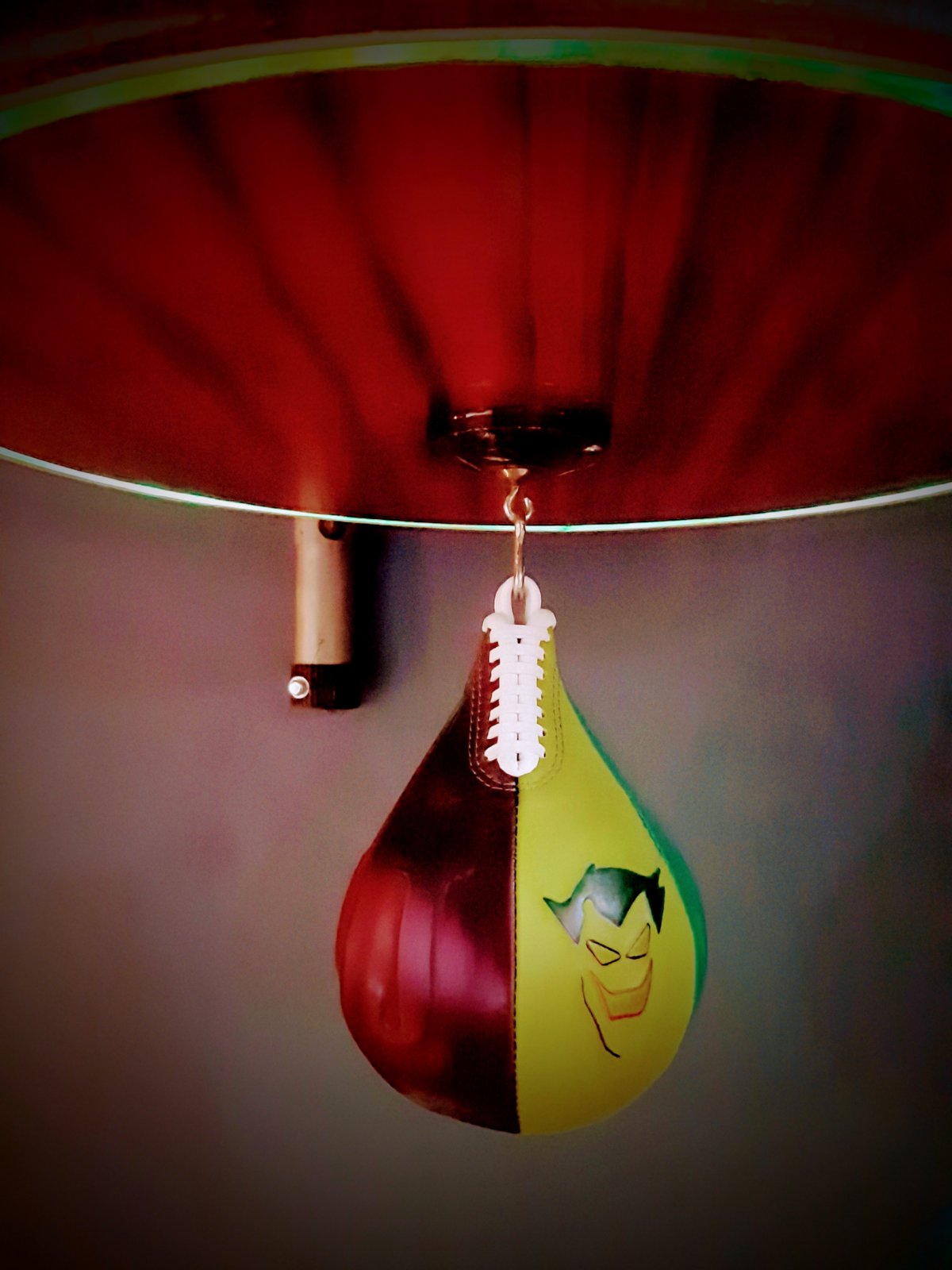 Roni Boxing Speed Bag