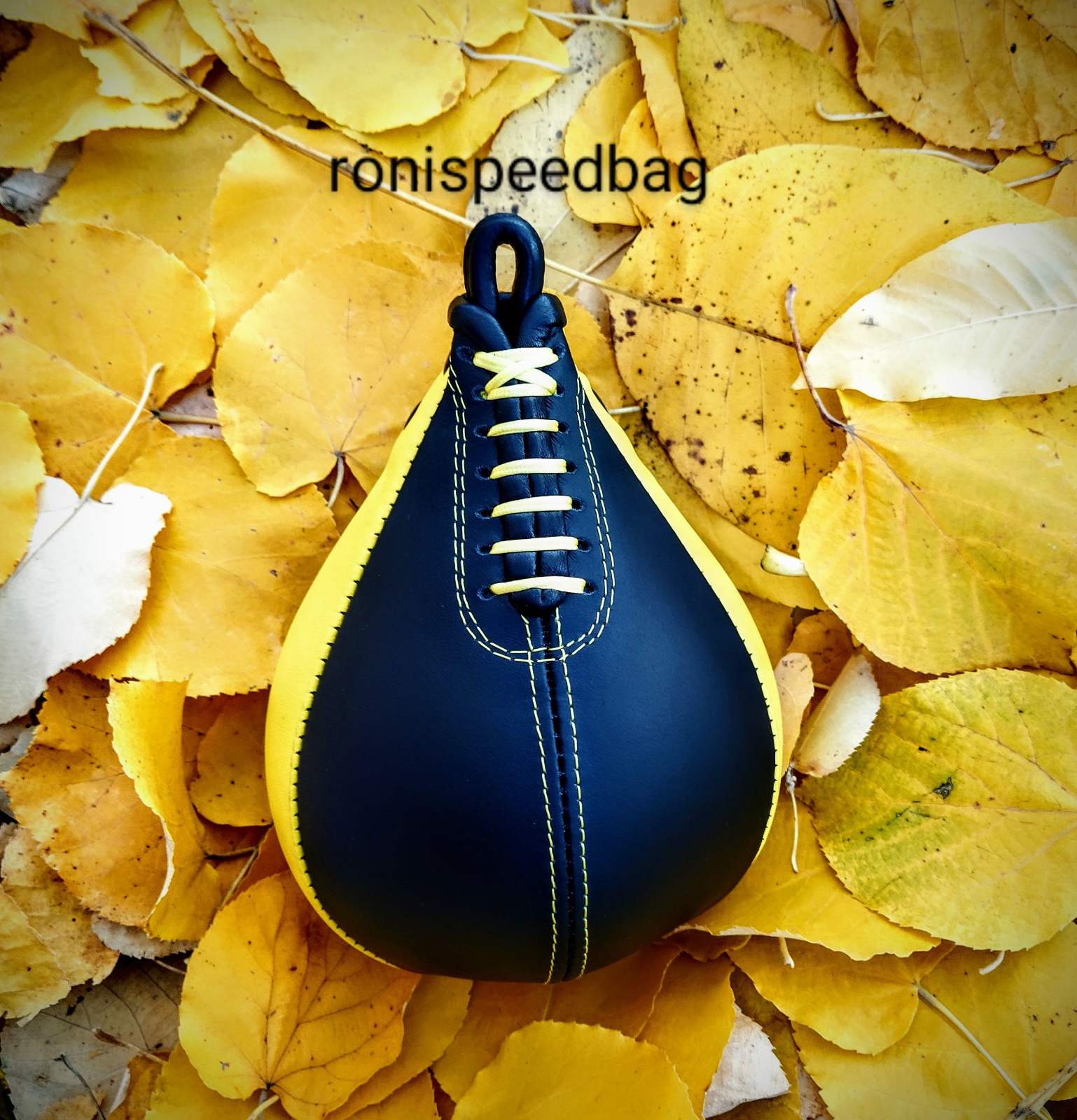 Roni Boxing Speed Bag